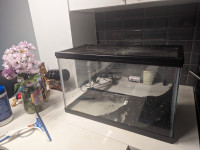 10 Gallon Aquarium with heater, water filter and many other ite