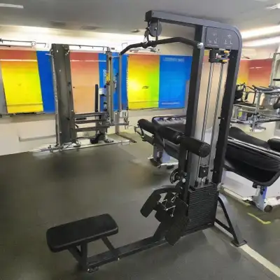 Brand New Lat Pulldown/Low Row Combo Machine 295lb Stack, View more