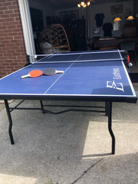 Ping Pong Table