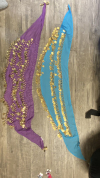 Baladi foulards de hanche/ bellydancing scarf
