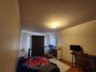 Une chambre privée à louer pour une Femme dès 1er Janvier appartement de 1031 PC à partager avec une...