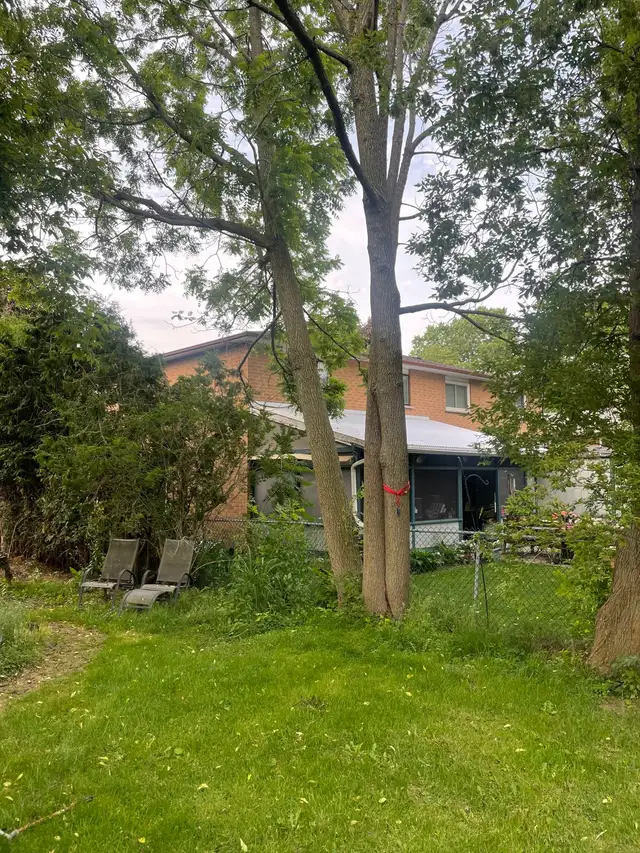 AFFORDABLE TREE SERVICE62864741928067122