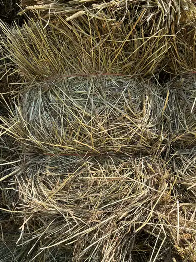 Hay bales, View more