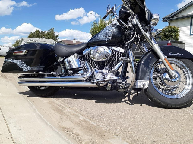 2001 Harley Davidson soft tail  in Street, Cruisers & Choppers in St. Albert - Image 4