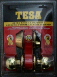 Tesa Door Lock with Keys
