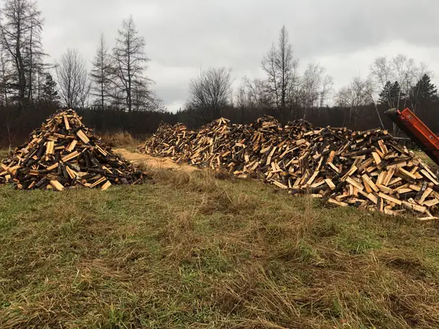 Campfire wood, camping, ignition62863736379521122