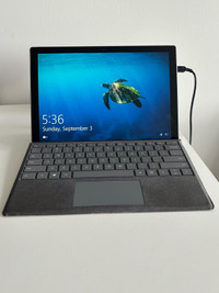 Microsoft Surface Pro 7 - i5/8/256 (Platinum) Laptop