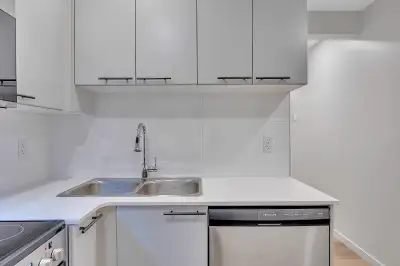 Basement suite for rent