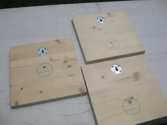 Easter decorations wall art (solid wood) in Home Décor & Accents in Ottawa - Image 6