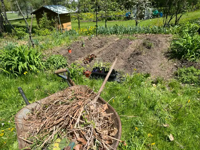 Photo 4