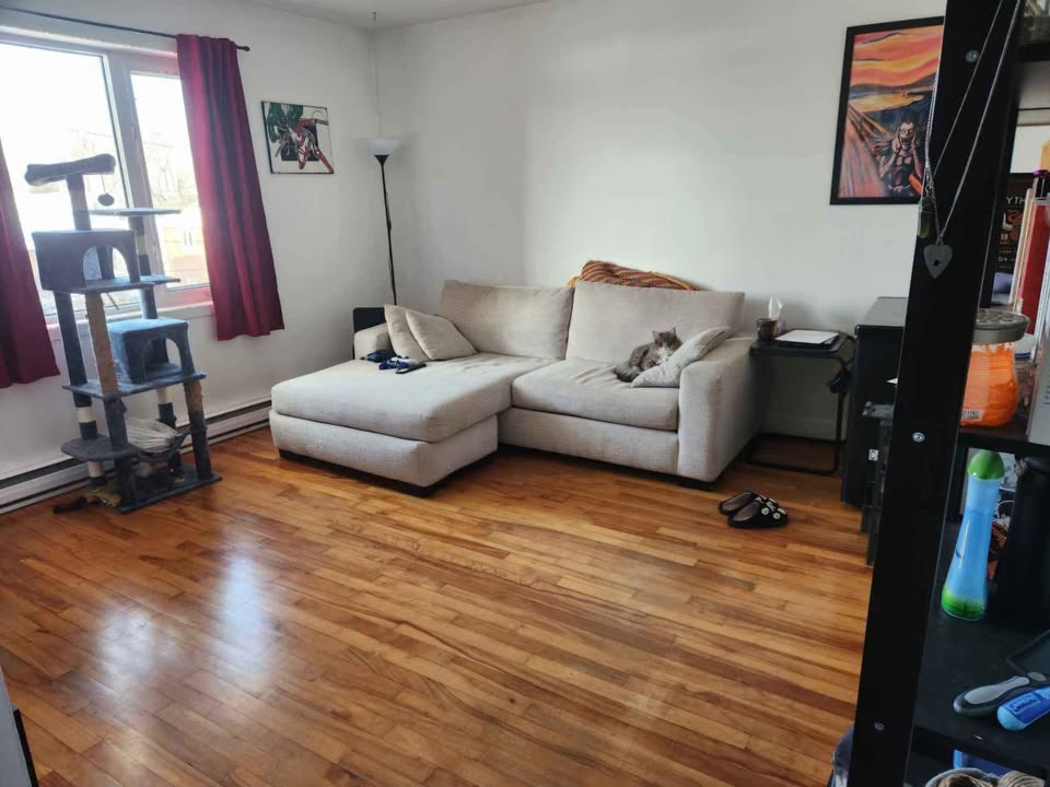 Looking for female roommate — photo 2
