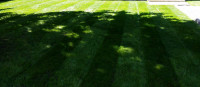 Lawn Care Whitby