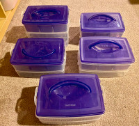 Snapwear storage containers