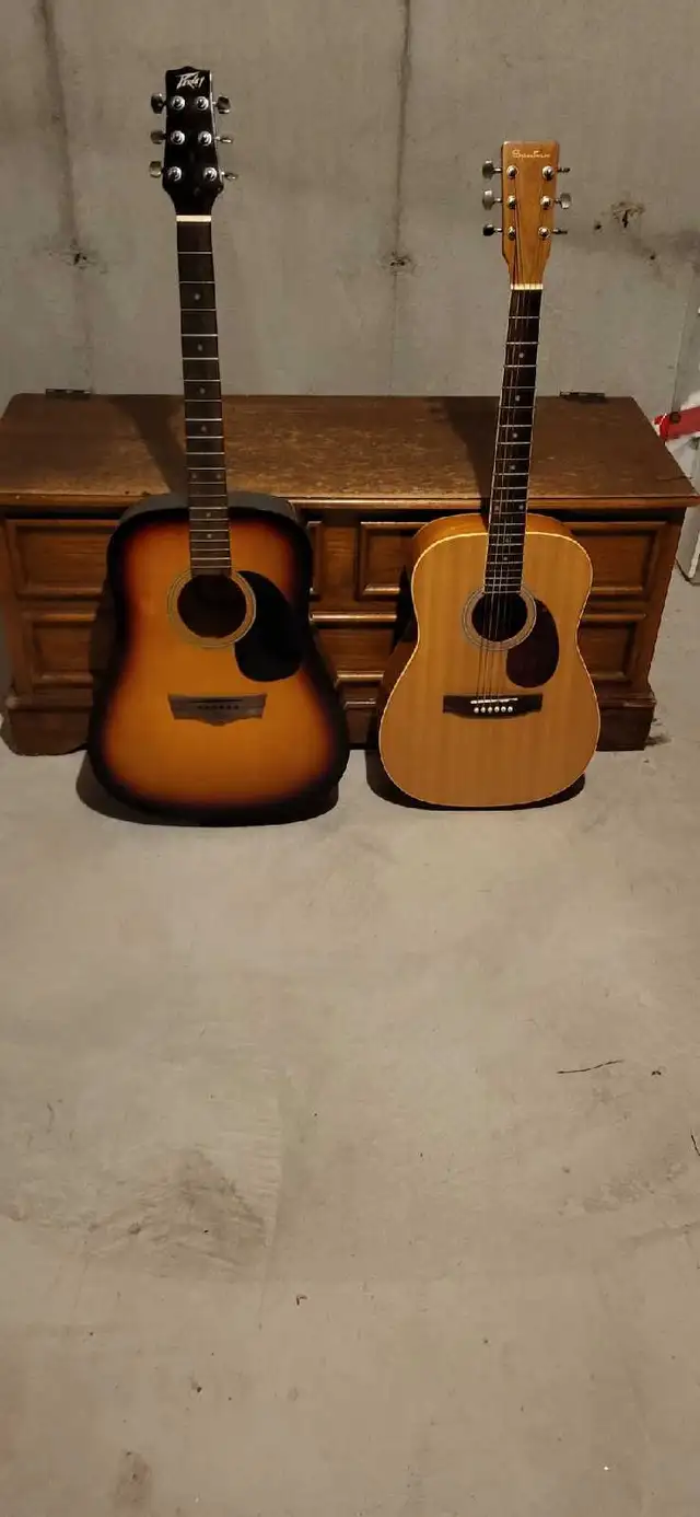 Peavey and Appalachian Acoustic Guitars