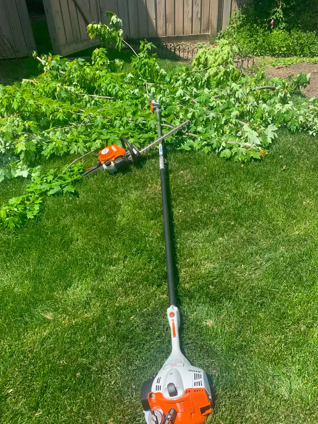 Your Trusted Tree Trimming & Hedging Expert63735895625347124