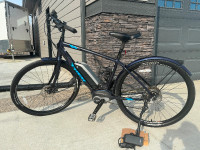 Trek Verve + E bike for sale