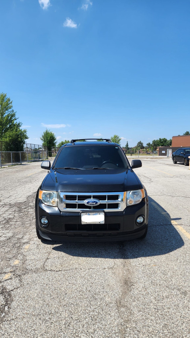 2011 Ford Escape XLT FWD in Cars & Trucks in Mississauga / Peel Region - Image 2