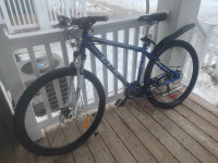 Ccm mountain bike, fresh new condition, 29’ wheels 