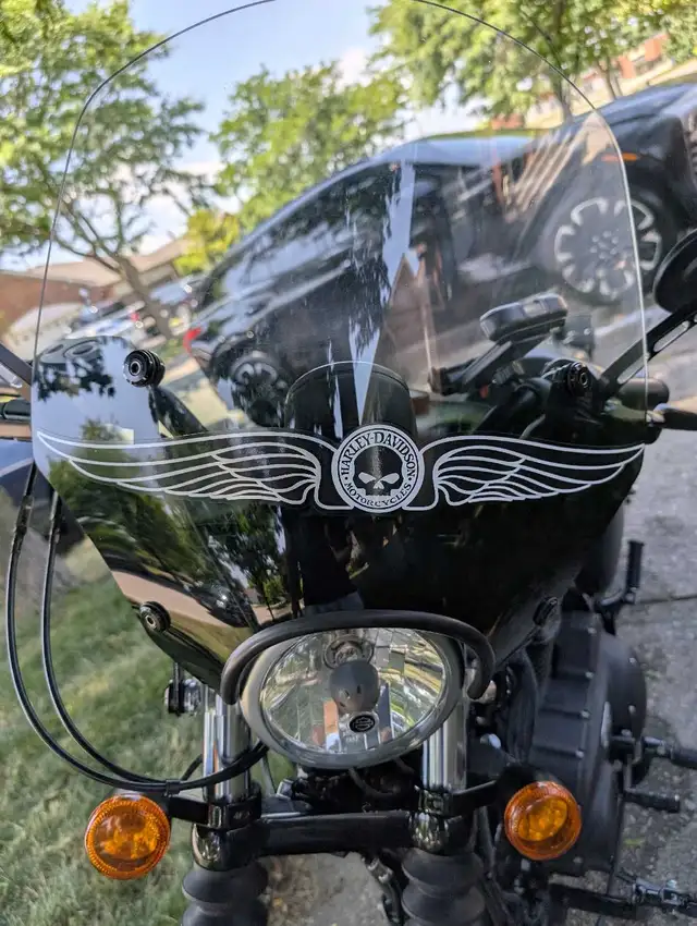 2014 Harley Davidson Sportster 883 in Street, Cruisers & Choppers in Mississauga / Peel Region - Image 9