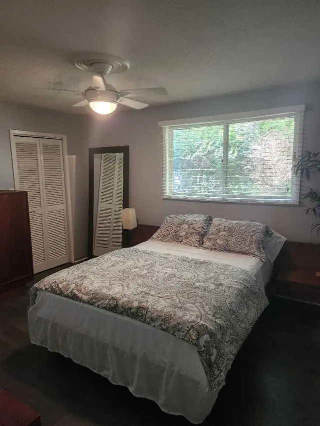 Lakefront Home For Rent 3bd/2bath on huge lot in Long Term Rentals in Cambridge - Image 3
