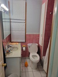 2 bed  apartment PAPE/DANFORTH