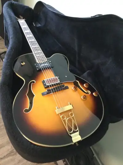 Northland Guitars (MRW) Hollow Body  Electric  Guitar., View more