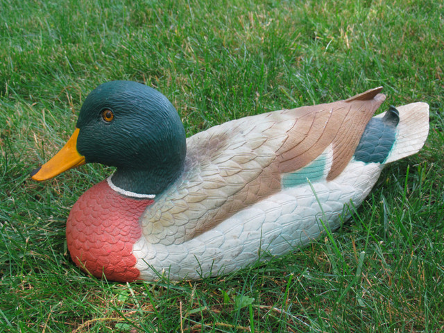 WOODEN  MALLARD DUCK DECOY  MADE IN U.S.A. in Arts & Collectibles in London - Image 2