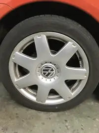 VW OEM 7-Spoke Rim