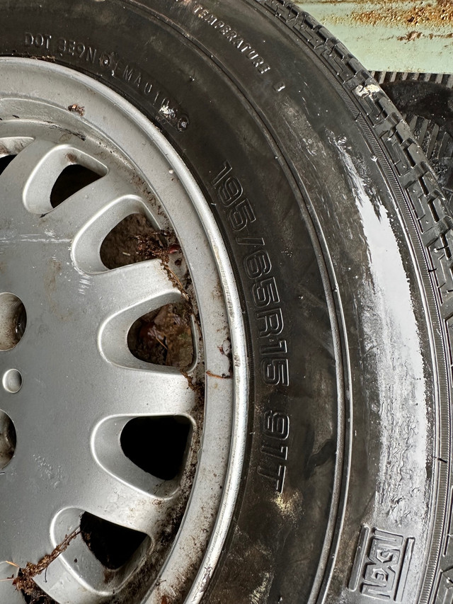 15” nexen all season tires+ bmw rims in Tires & Rims in Hamilton - Image 3