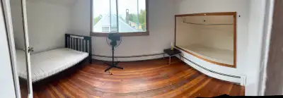 1 room- available immediately