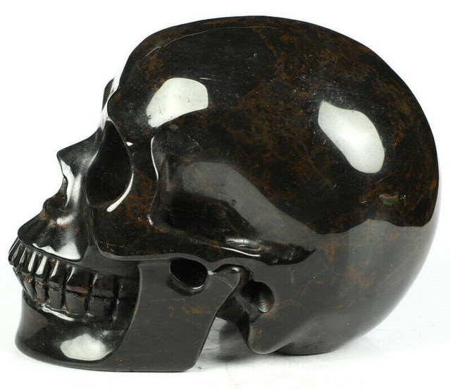 HUGE 5" Mahogany Obsidian Crystal Skull! Hand carved, realistic. in Arts & Collectibles in Mississauga / Peel Region - Image 4