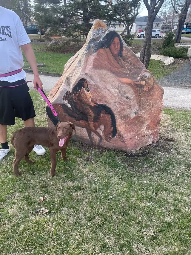 Need gone by end of the month or your best offer in Dogs & Puppies for Rehoming in Winnipeg - Image 9