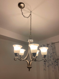Lovely 5-Light Modern Chandeliers and Ceiling Light