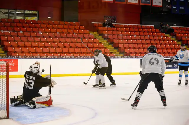 Casual Shinny Hockey. Beginners Welcome. coed63826842365569120