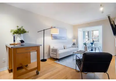 Fully furnished all inclusive unit for rent For Rent: $2900/month Available July 1st, 2026. Can nego...