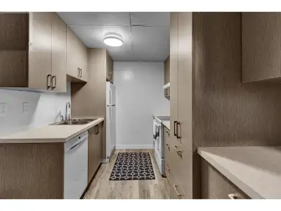 1 Bedroom Basement Suite