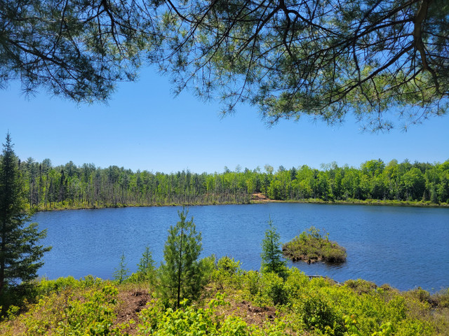 One Acre Waterfront Lot in Land for Sale in Gatineau - Image 3