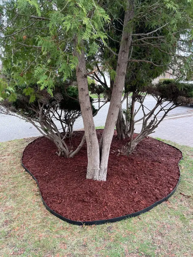 landscaping63009266616707121