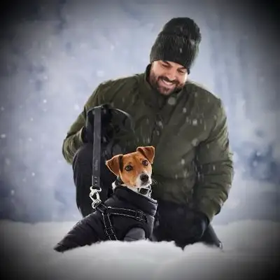 Bailey & Bella 2-in-1 Black Harness Vest • XL • X Large • MINT!, View more