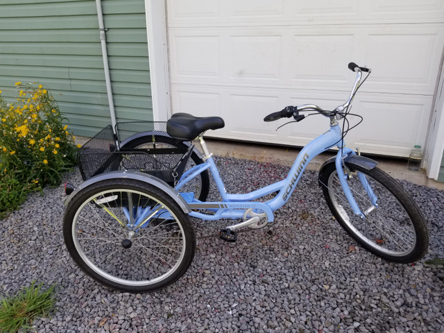 Adult tricycle blue with basket in Clothing, Shoes & Accessories in Ottawa