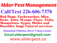 Pest control services Brantford, Paris, Call 226-606-7378