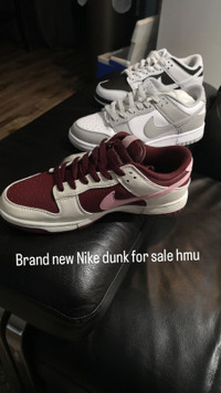BRAND NEW NIKE DUNKS SHOES