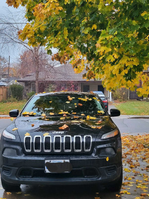 2016 Jeep Cherokee Gold