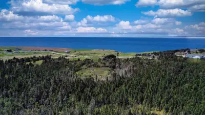0 Main Road, McKays, NL PropertyGuyscom Sign # 94705 FOR FULL INFO: visit site and enter sign # abov...