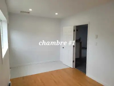 chambre à louer