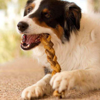 Dog Treats, Greenies, Bully Sticks,Yak Cheese Bones, Antlers