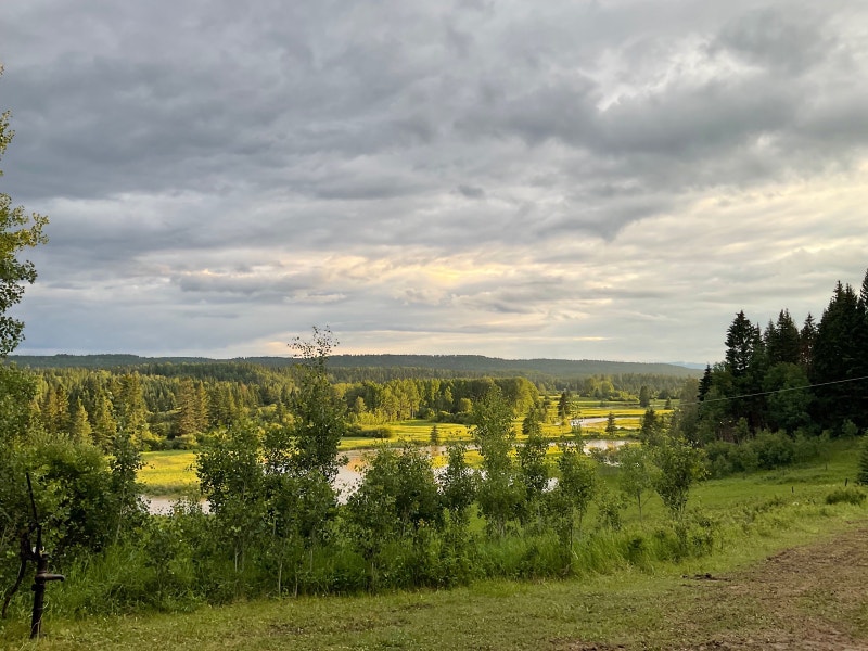 Farm Quarter/Home on Prairie Creek, Clearwater County, Alberta Land