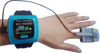 Wrist Pulse Oximeter Accessories