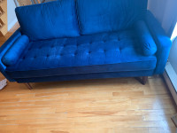2 Blue couches 
