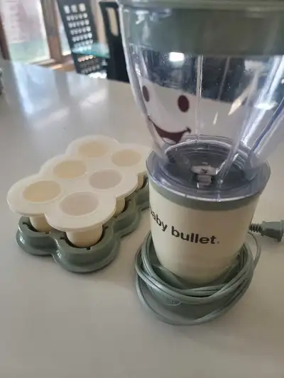Baby bullet food processor with freezer containers